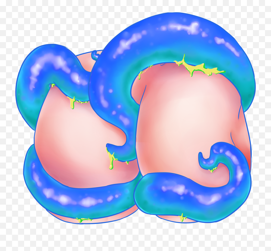 Pre - Order Tentacle Butt Charms U2022 Wishes Come True Clipart Tentacle Butt Png,Tentacle Png