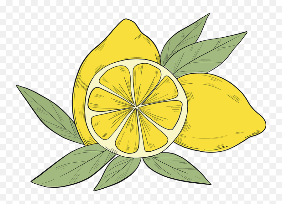 Lemons Clipart Free Download Transparent Png Creazilla - Clip Art,Lemons Pn...