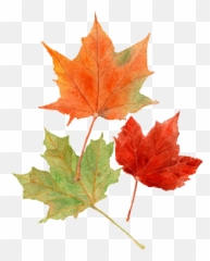 Fall Tumblr Png 4 Image - Autumn Png,Fall Png