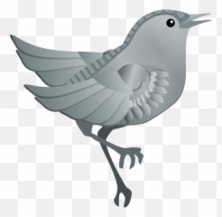 Northern Mockingbird Transparent Png - Northern Mockingbird,Mockingbird Png