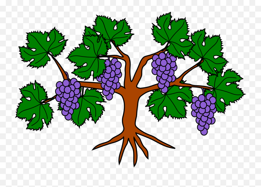 October 2018 Grapevine - Grape Vine Tree Clipart Png,Grapevine Png