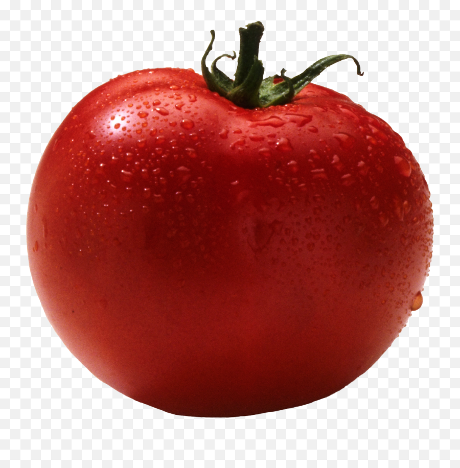 Download Red Tomatoes Png Image For Free - Real Tomato Transparent Background,Fortnite Bush Png