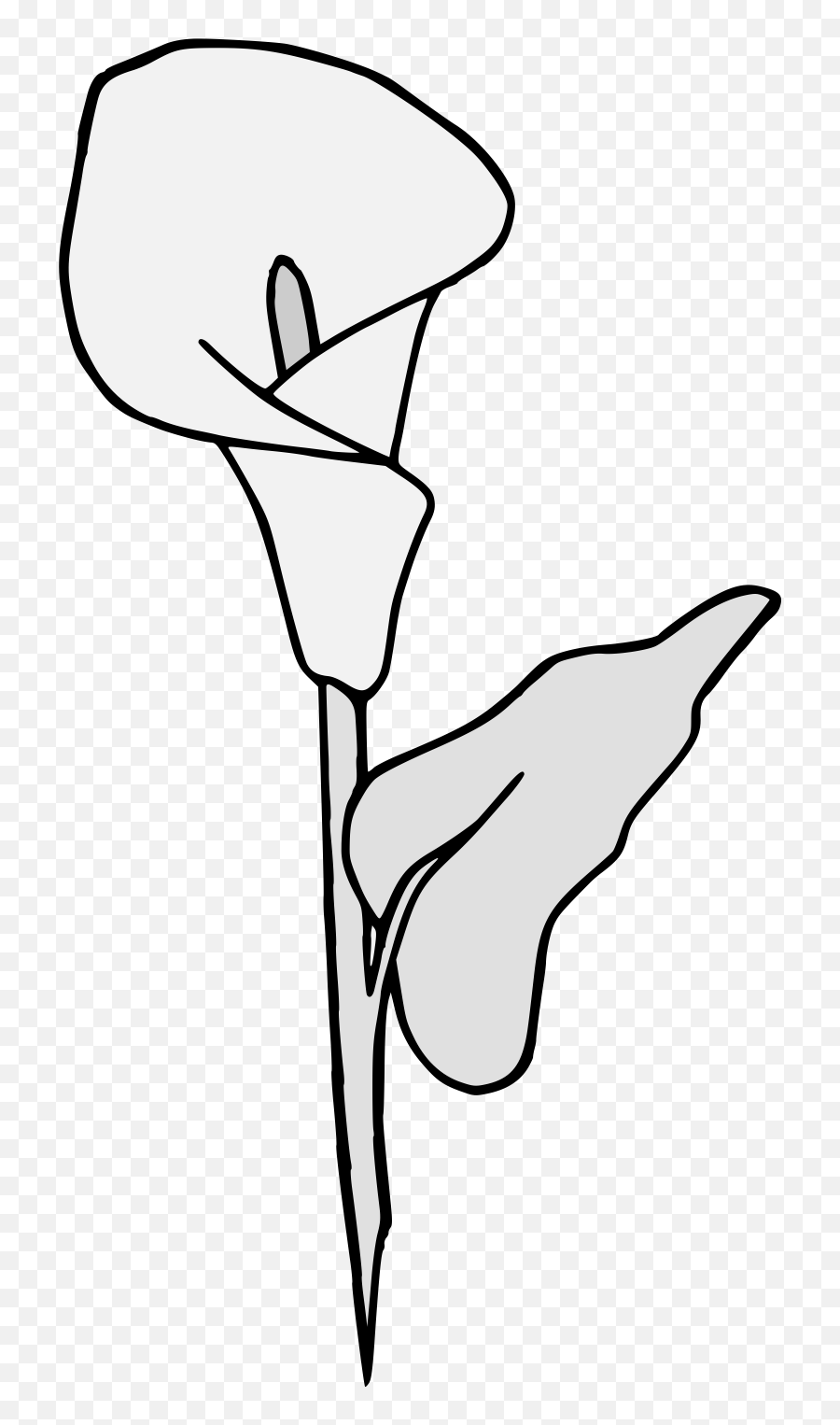 Calla Lily - Traceable Heraldic Art Lovely Png,Calla Lily Png