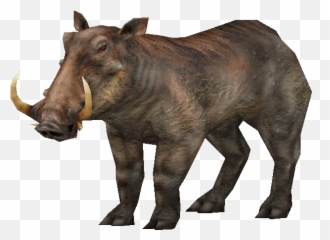 Warthog Png Hd Transparent - Carnivores Ice Age Wild Boar,Warthog Png