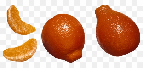 Mandarin Png - Thotlakonda,Citrus Png