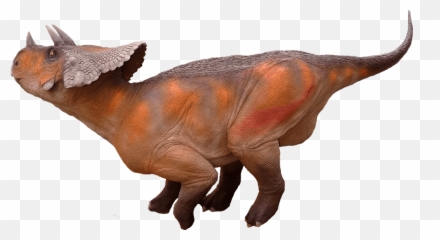 Triceratops Avaceratops Lammersi Moab Giants Dinosaur Park - Avaceratops Png,Triceratops Png