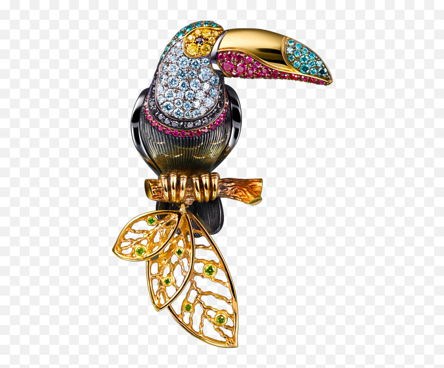 Toucan With Images - Decorative Png,Toucan Png