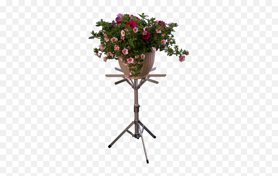 Download Hd Wedding Flower Stand Png - Garden Roses,Stand Png
