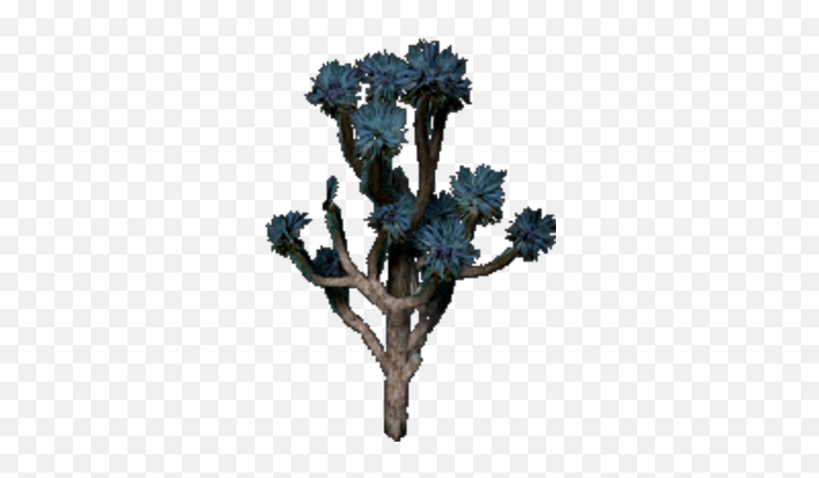 Joshua Tree - Joshua Tree Png Transparent,Joshua Tree Png