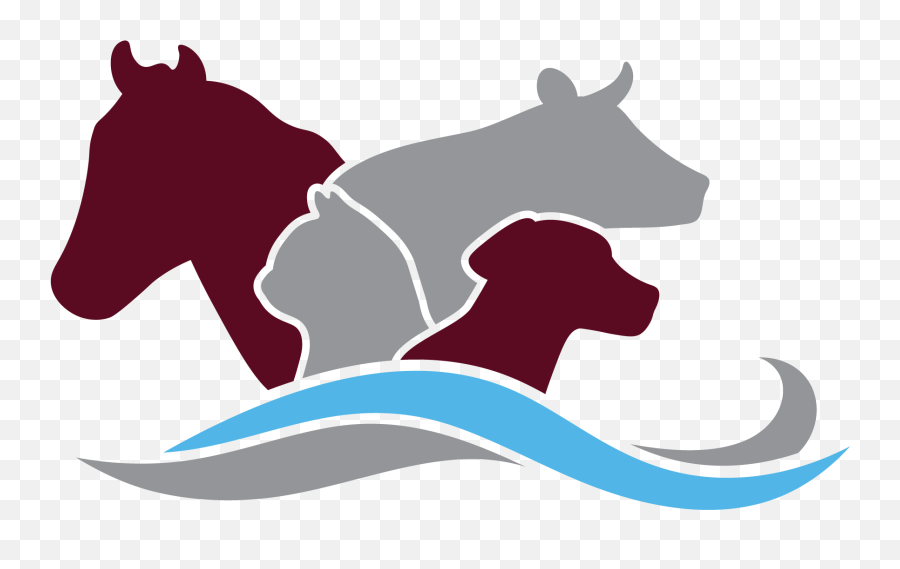 Lakes Area Veterinary Hospital - Veterinarian In Jasper Tx Animal Veterinary Logo Png,Rapport Icon