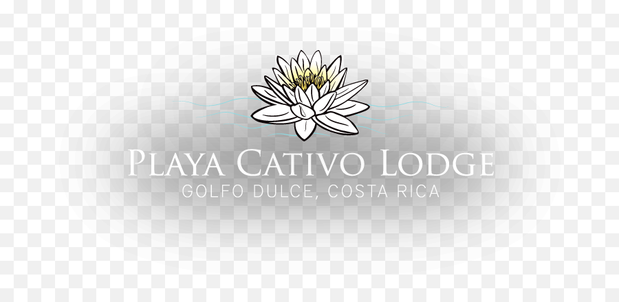 Retreat To Playa Cativo Costa Rica - Playa Cativo Lodge Png,Costa Vida Logo