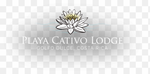 Retreat To Playa Cativo Costa Rica - Playa Cativo Lodge Png,Costa Vida Logo