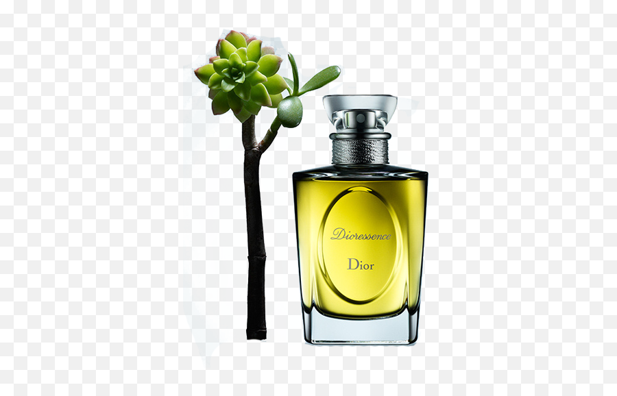 Download Free Oil Christian Chanel Designer Dior Perfume - Perfume Png,Essential Oil Icon