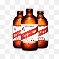 Download The 55 Absolute Best Summer - Red Stripe Beer Bottle png