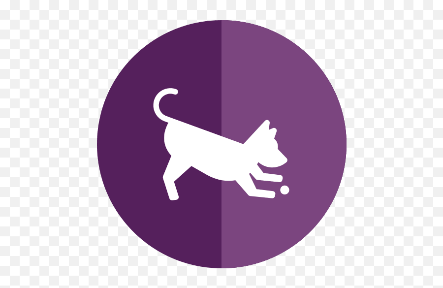 Dog And Cat Boarding Daycare Grooming Colleyville - Stencil Desenho Cachorro Png,Dog Cat Icon