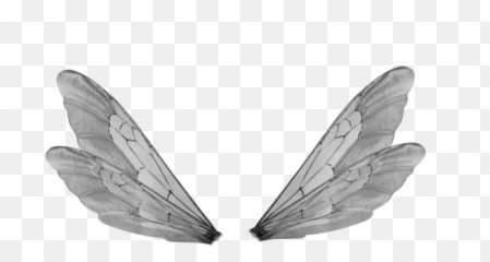 Dragonfly Wings Png Transparent Images - Transparent Insect Wings Png,Wings Png Transparent