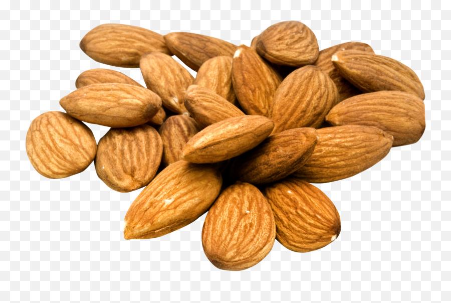 Pin - Almond Png,Almonds Png