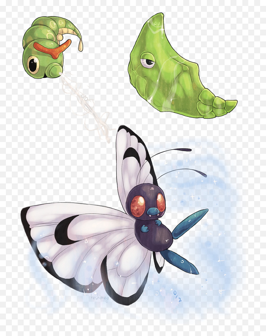 Metapod Used Harden Butterfree Png