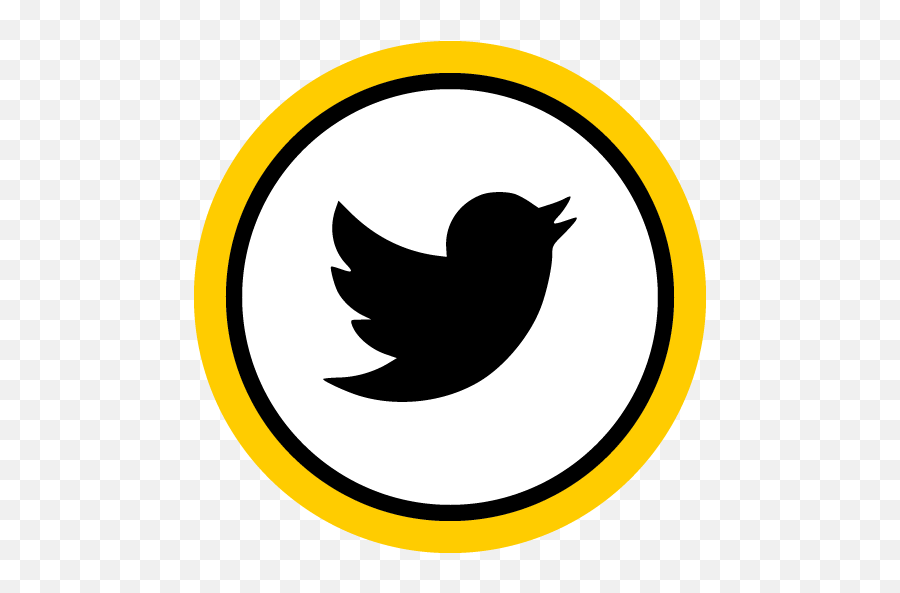 About Us 12voltsolutions - Twitter Logosu Png,Ds4 Icon
