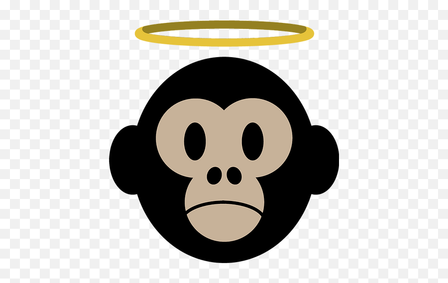 South Florida Music Production Sacred Simian Studios Png White Quality Flat Icon