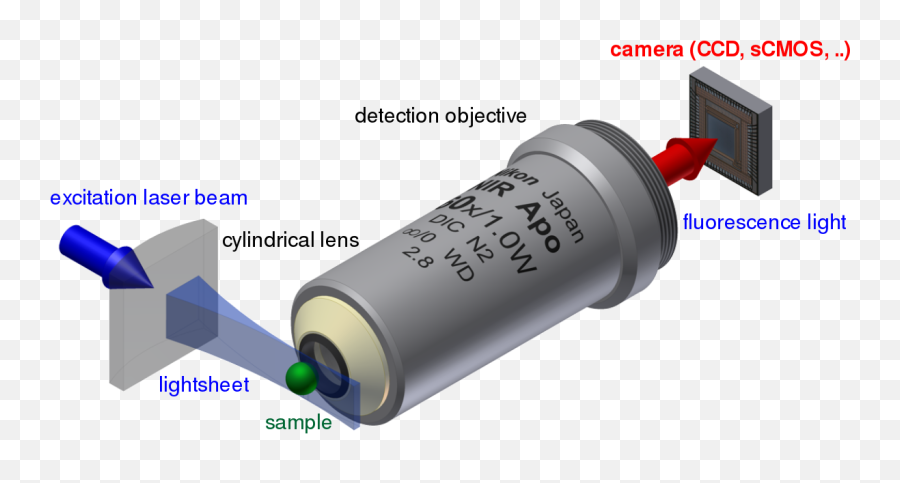Light Sheet Fluorescence Microscopy - Wikipedia Lichtscheibenmikroskopie Png,Microscope Transparent Background