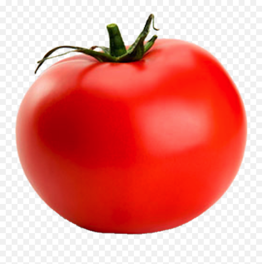Tomato Clipart Png - Tomato Png,Tomato Clipart Png
