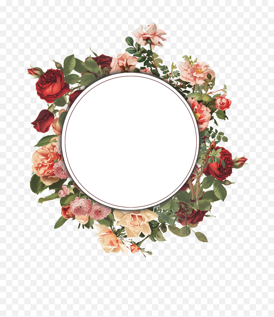 Vintage Flower Frame Png Transparent Collections - Floral Frame Transparent Png,Behance Png