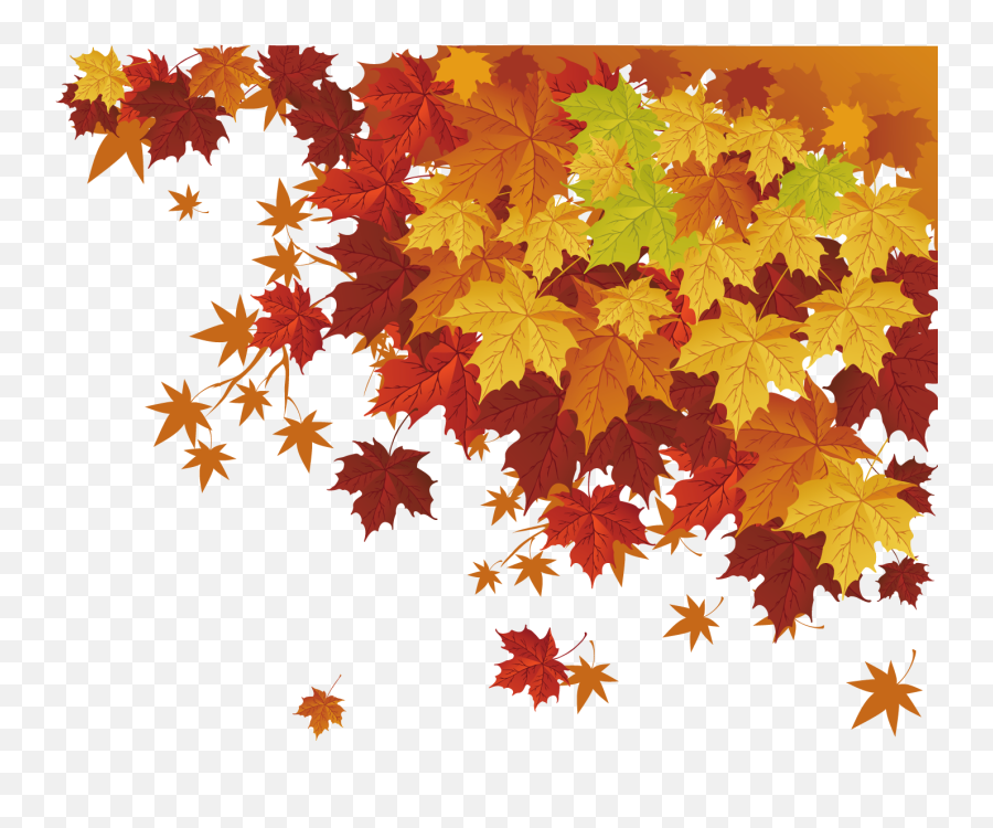 Clip Transparent Autumn Leaf Color Maple Transprent - Autumn Maple Leaf Png,Autumn Transparent