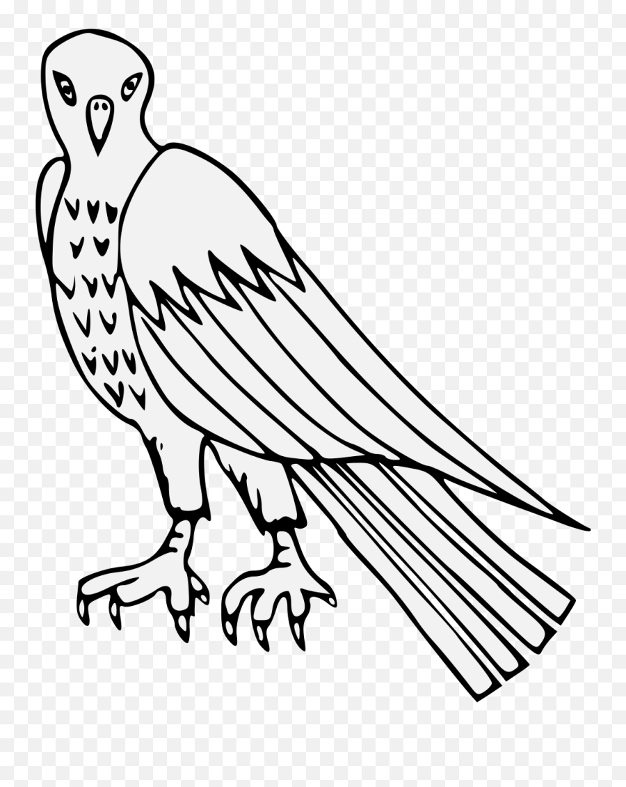 Vulture Png Image With No Background - Clip Art,Vulture Png