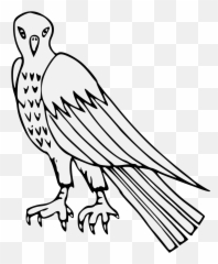 Vulture Png Image With No Background - Clip Art,Vulture Png