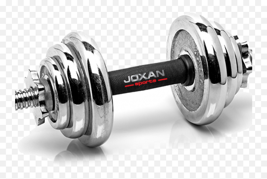 Download Dumbbell - Gym Weight Png Full Size Png Image Gym Equipment Png,Weights Transparent