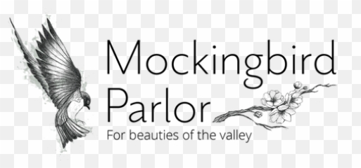 Onsite Hair Makeup - Pigeons And Doves Png,Mockingbird Png