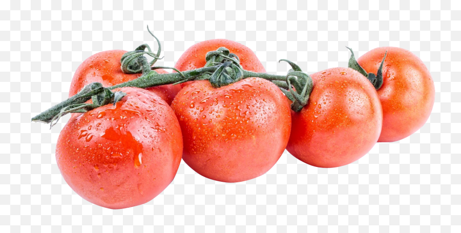 Download Tomato Png Image For Free - Tomato,Tomato Plant Png