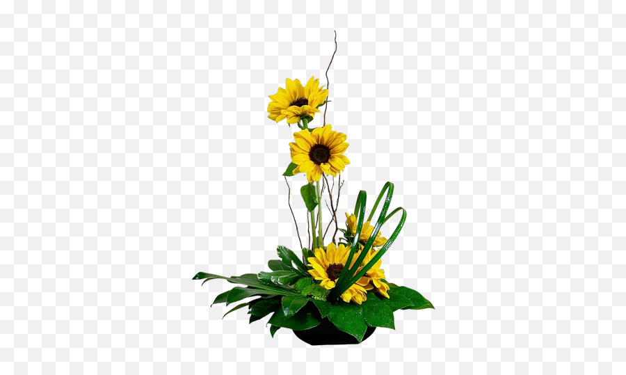 Modern And Tropical Flowers - Flowerpot Png,Tropical Flower Png