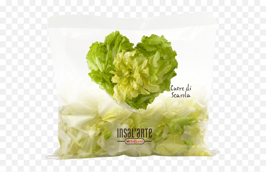 Scarola Lettuce Insalu0027arte - Ready To Eat Italian Salad Iceberg Lettuce Png,Romaine Lettuce Png