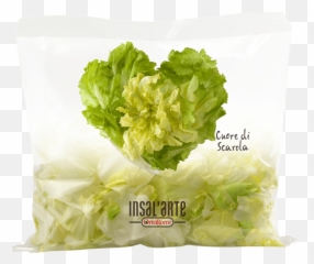 Scarola Lettuce Insalu0027arte - Ready To Eat Italian Salad Iceberg Lettuce Png,Romaine Lettuce Png