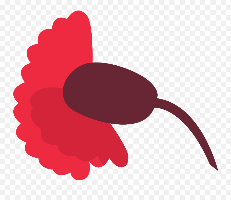 Free Carnation Flower Png With - Clip Art,Carnation Png