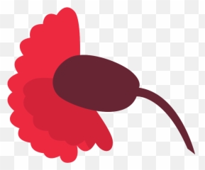 Free Carnation Flower Png With - Clip Art,Carnation Png