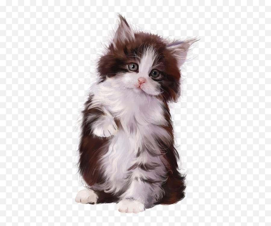 Download Hd 6090083 Cat4 Cat Gif Cute Cats Kittens Cutest - Gatinha Fofinha Png,Cat Gif Transparent