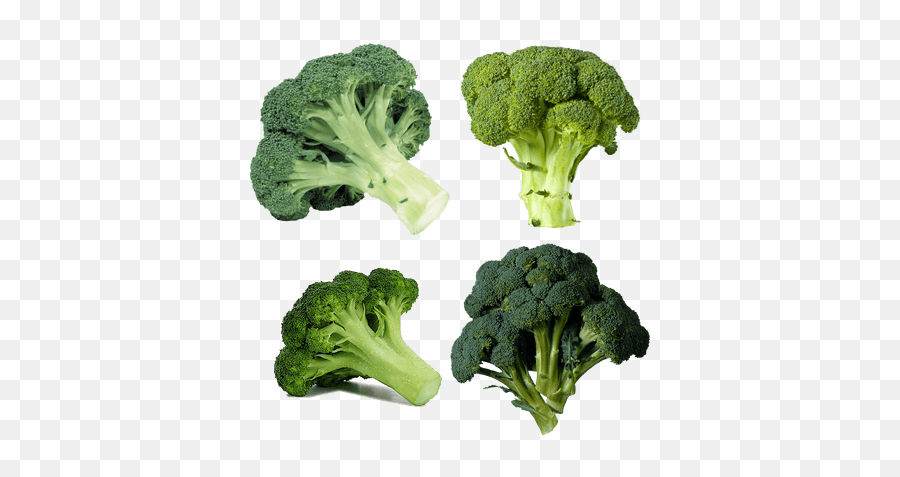 Vegetables Transparent Png Images - Broccoli Png,Vegetables Transparent Background