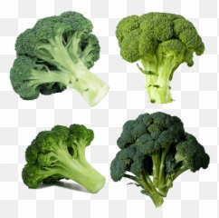 Vegetables Transparent Png Images - Broccoli