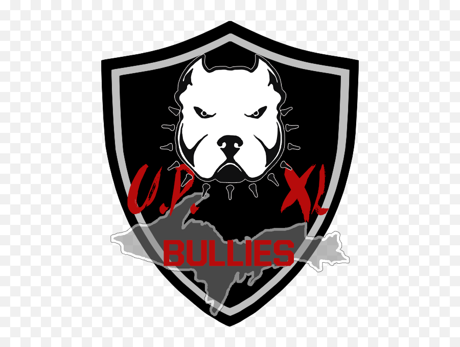 Up Xl Bullies Coming Soon - Volleyball Club Volleyball Team Logo Png,American Bully Logo