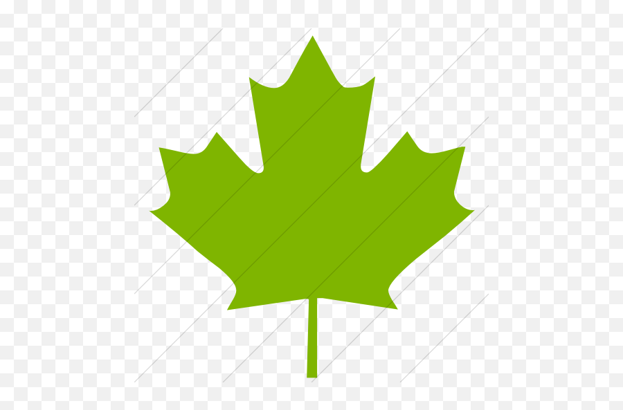 Iconsetc Simple Green Classica Maple Leaf 2 Icon - Canada Flag Png,Maple Leaf Icon