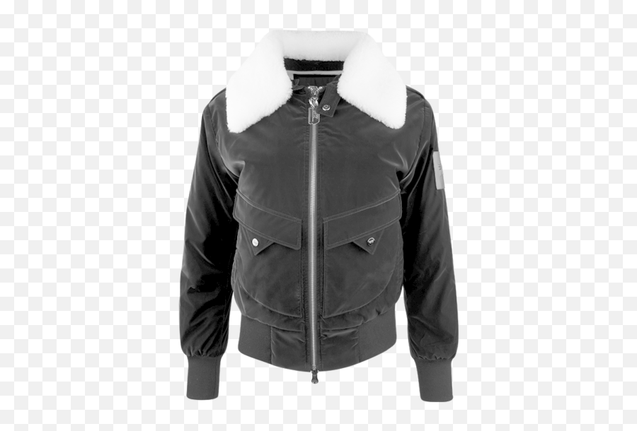 The 7 Perfect Pxg Gifts For Women 2020 U2013 Renee Parsons - Long Sleeve Png,Icon Womens Leather Jacket