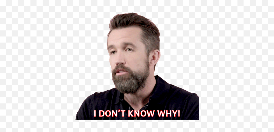 I Dont Know Why Rob Mcelhenney Sticker - I Dont Know Why Rob For Adult Png,Sebastian Stan Icon