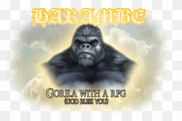 Harambe Playervsboss Wiki Fandom - Poster Png,Harambe Transparent