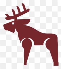 Icon Deer Ad Affiliate Sponsored - Animal Figure png