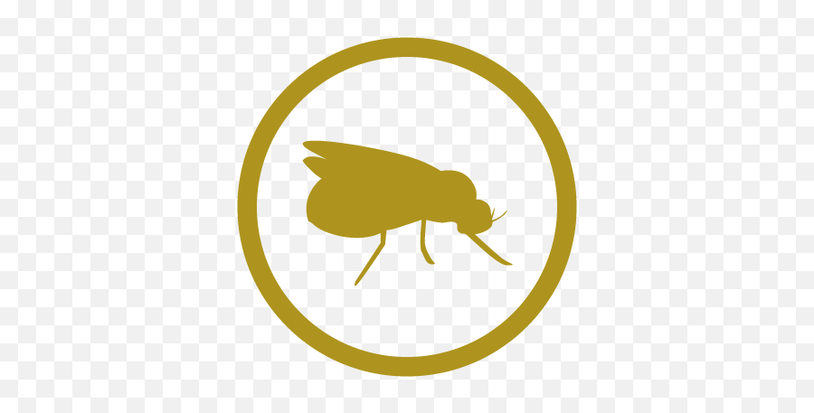 Twin Falls County Pest Abatement District - Parasitism Png,Flea Icon