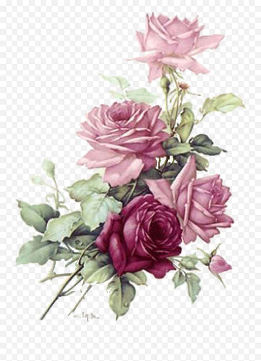 Download Roses - Transparent Burgundy Flowers Png Png Image Vintage Flower Watercolor Clipart,Roses Transparent