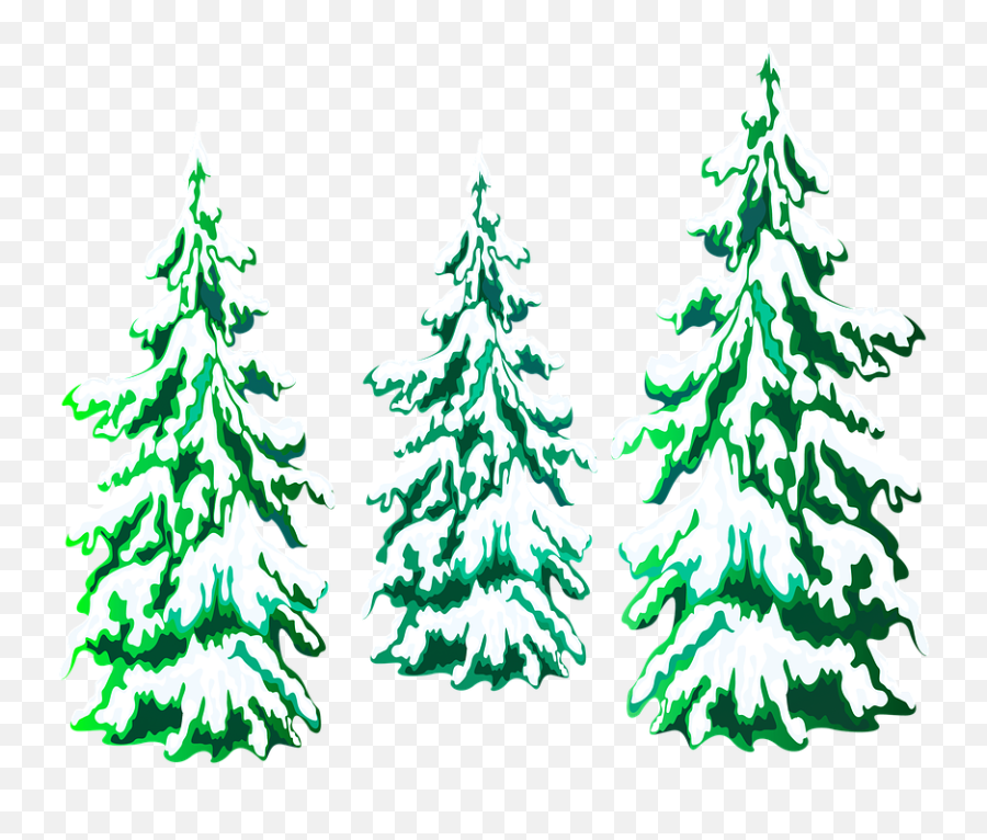 Christmas Tree Pine Trees Snow - Pinos De Navidad En Png,Snow Trees Png
